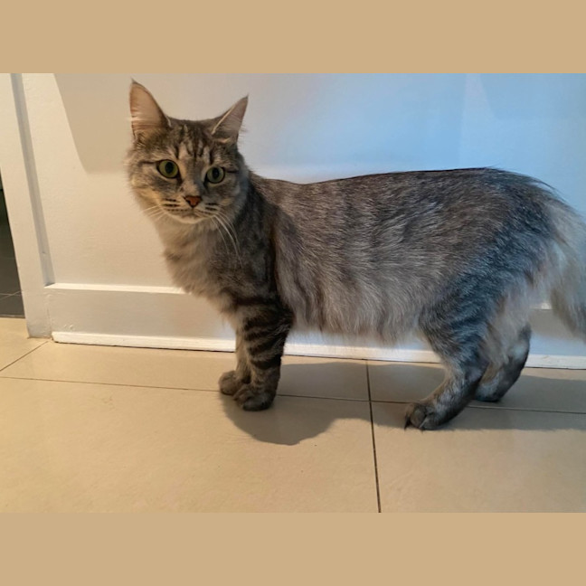 Photo of Cleopatra 