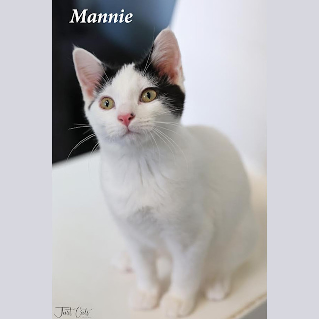 Photo of Mannie