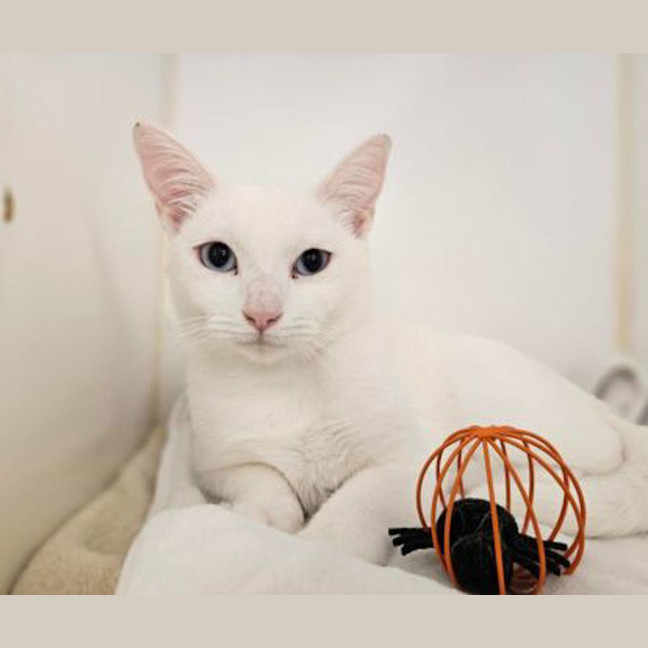 Photo of Anastasia