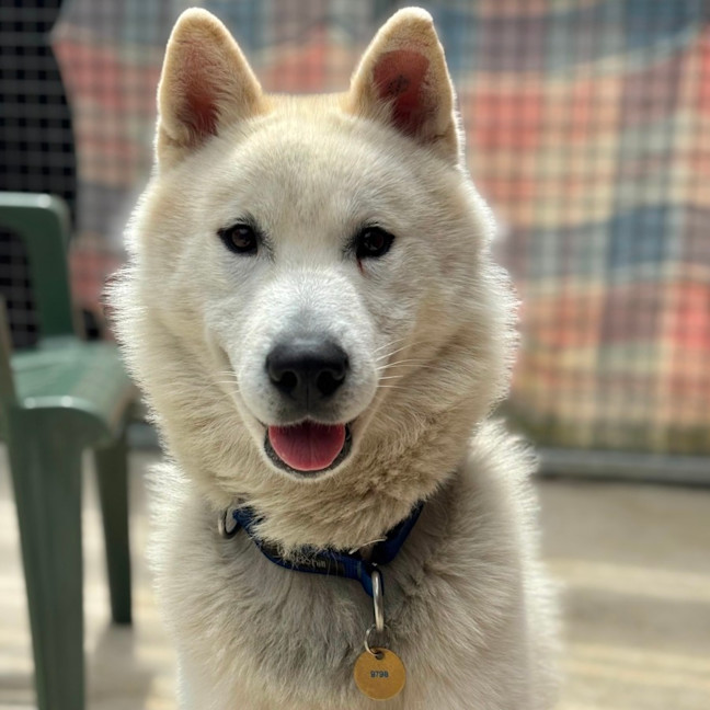 Photo of Max