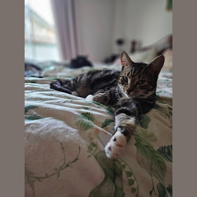 Photo of Nigel