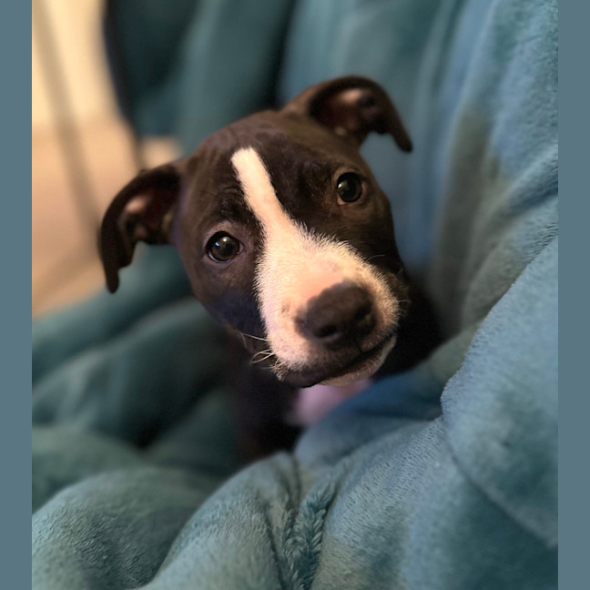 Photo of 🌼 Daisy 🌼 