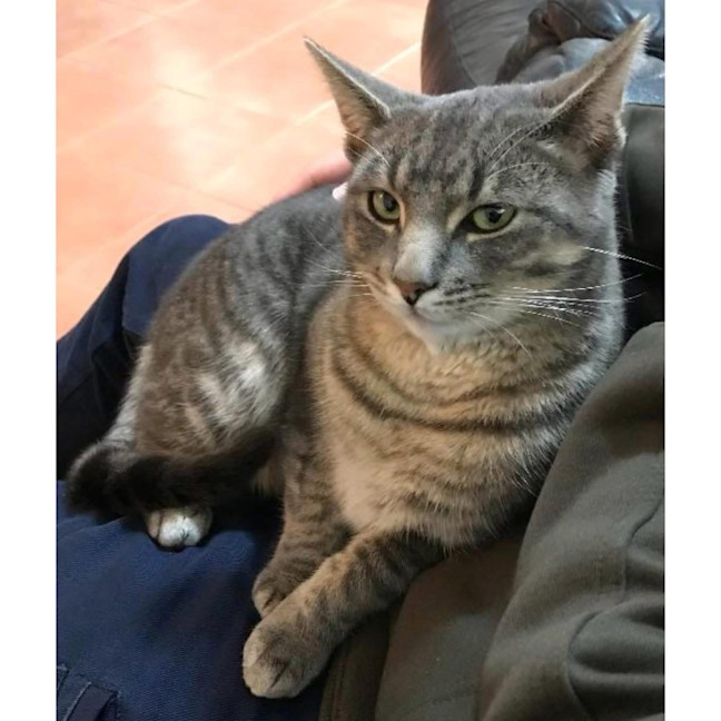 Photo of 12393   Do Do