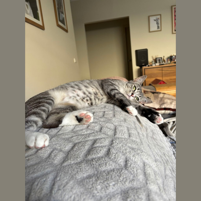 Photo of Dorothy