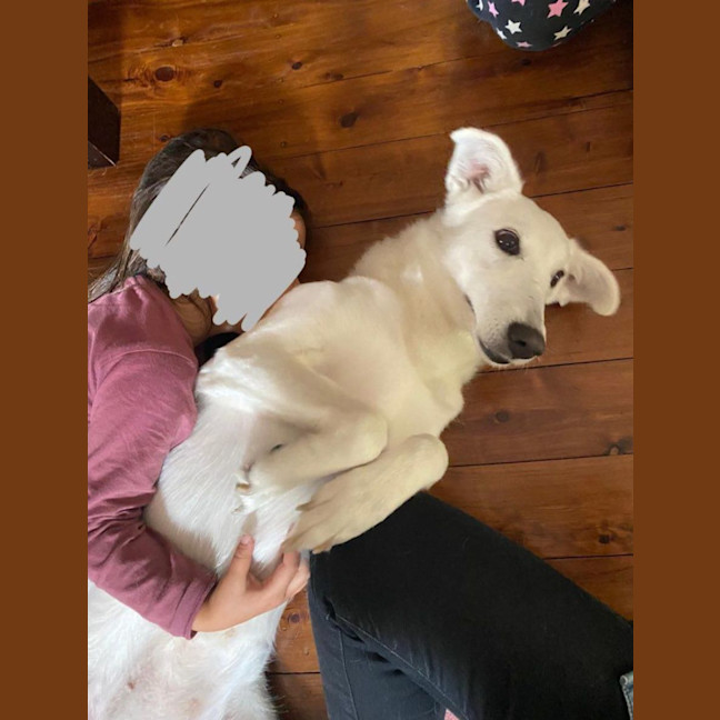 Photo of Trixie 🩷