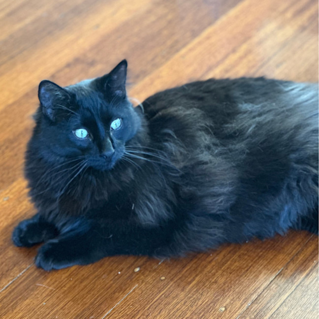 Photo of Max