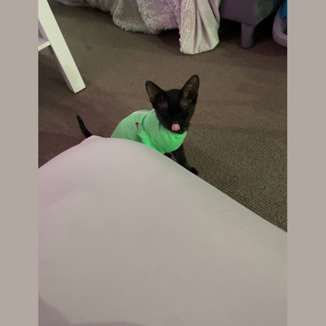 Photo of Missy