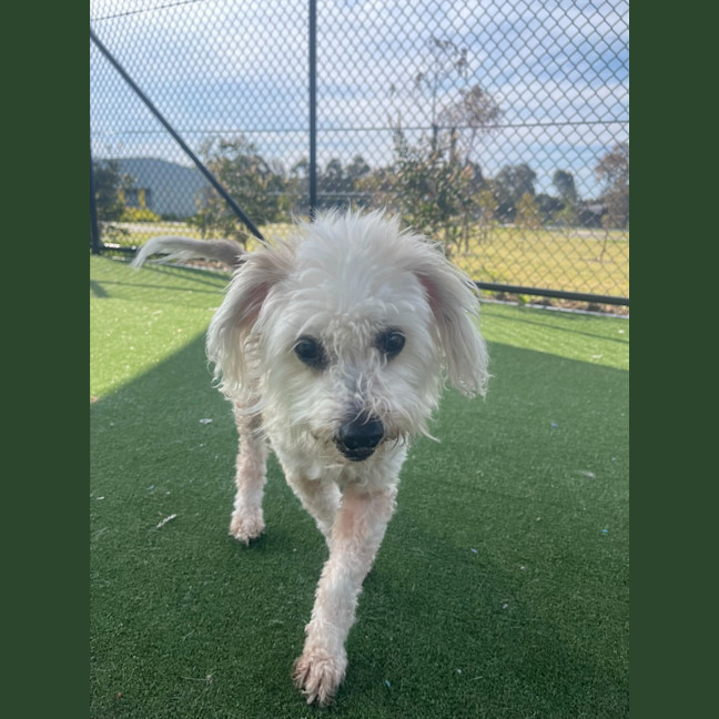 Photo of Sophie Imp 1538