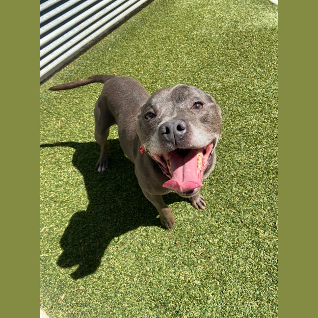 Photo of Larry (Now Vader)