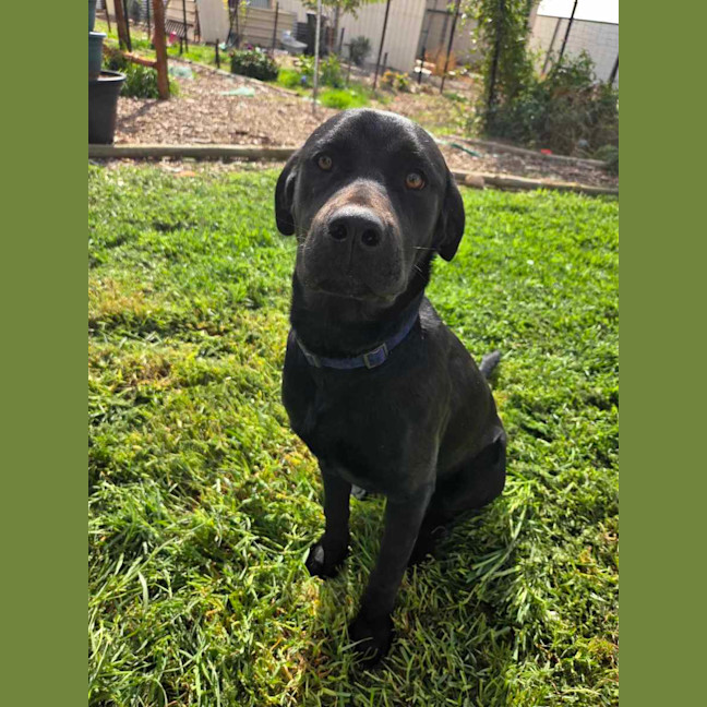 Photo of Zoe 