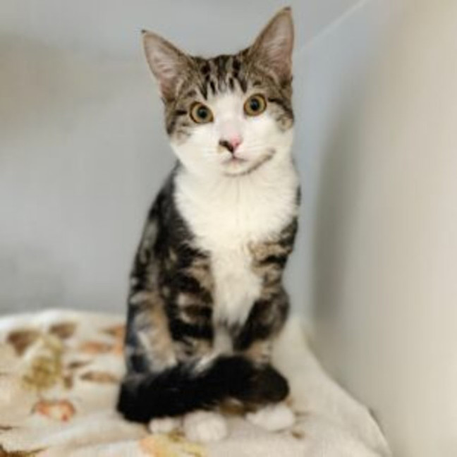 Photo of Melina & Marlo