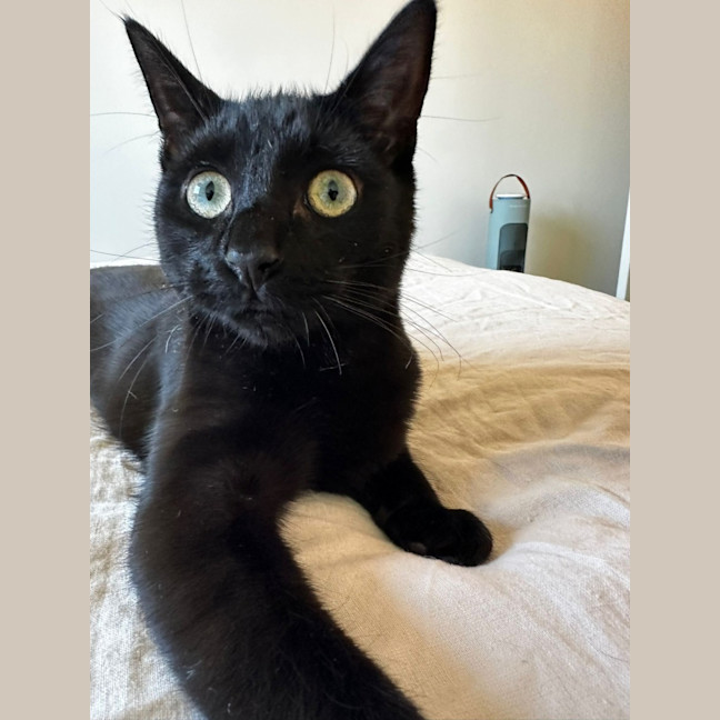 Photo of 💚 Mali 💚