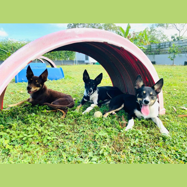 Photo of Pg (Pretty Girl)