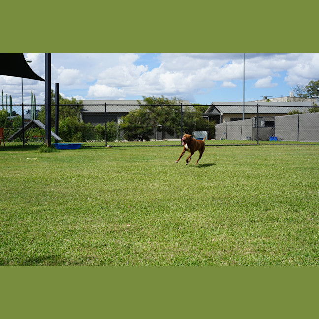 Photo of Wally
