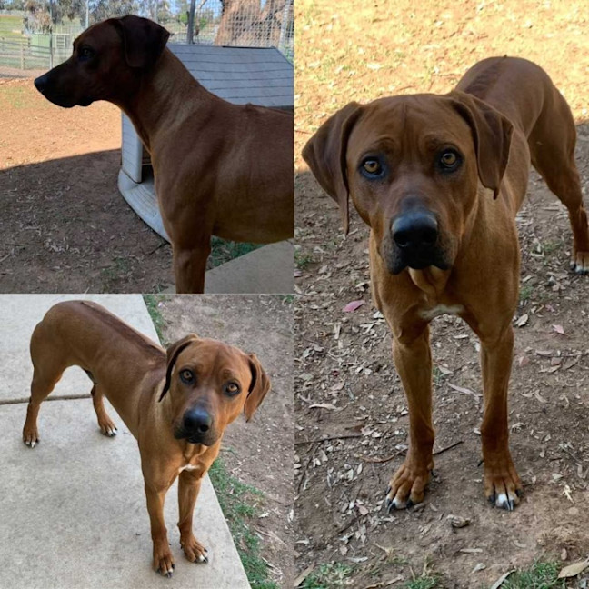 Photo of Zeus
