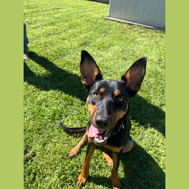 Photo of Oakley