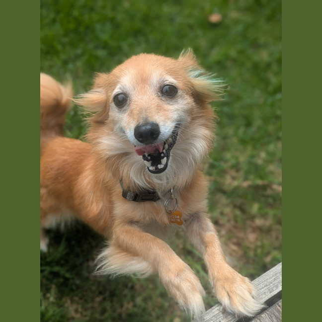 Photo of Holly Golightly