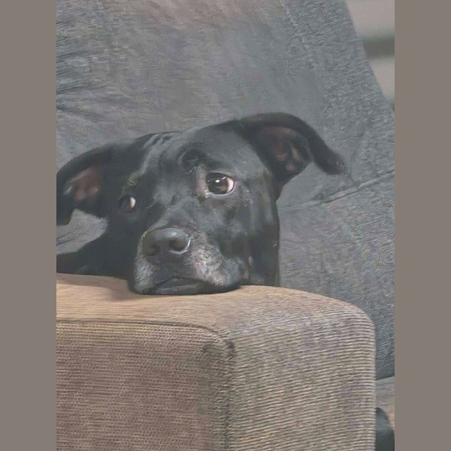 Photo of Bessie