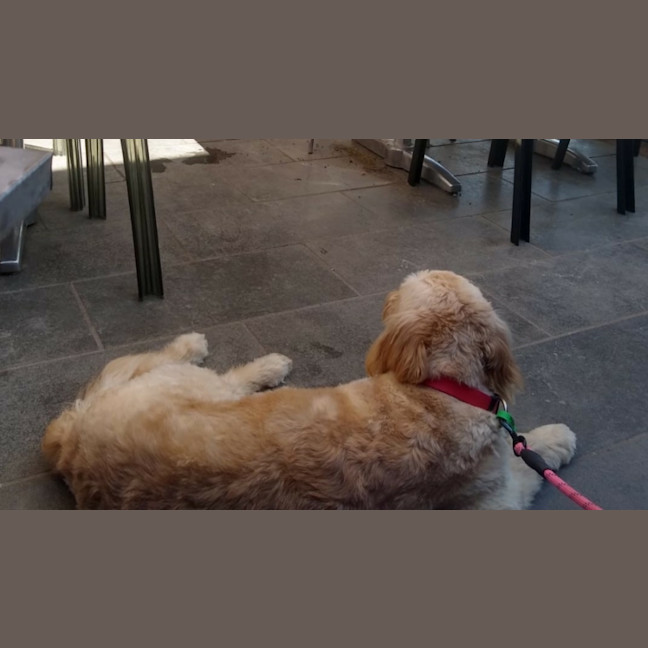 Photo of Maggie