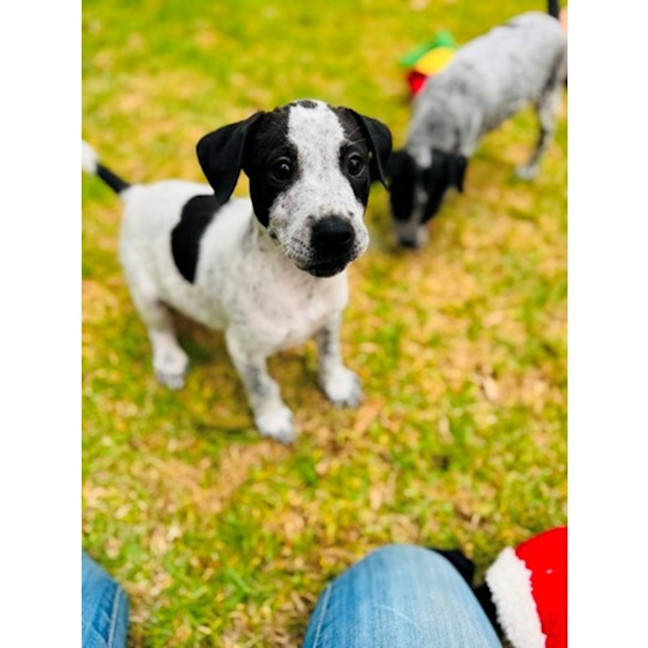 Photo of Benchwarmer