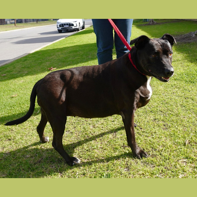 Photo of Roxy