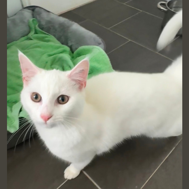 Photo of Elsa