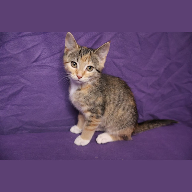 Photo of Wendy