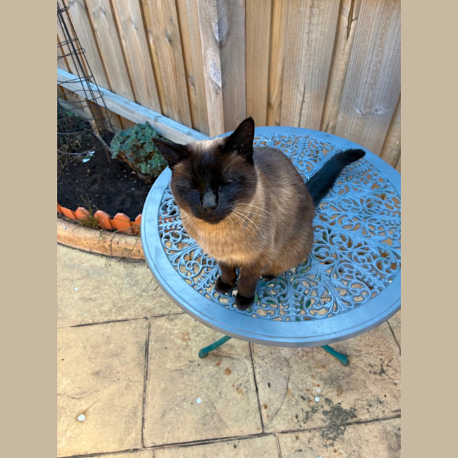 Photo of Coco