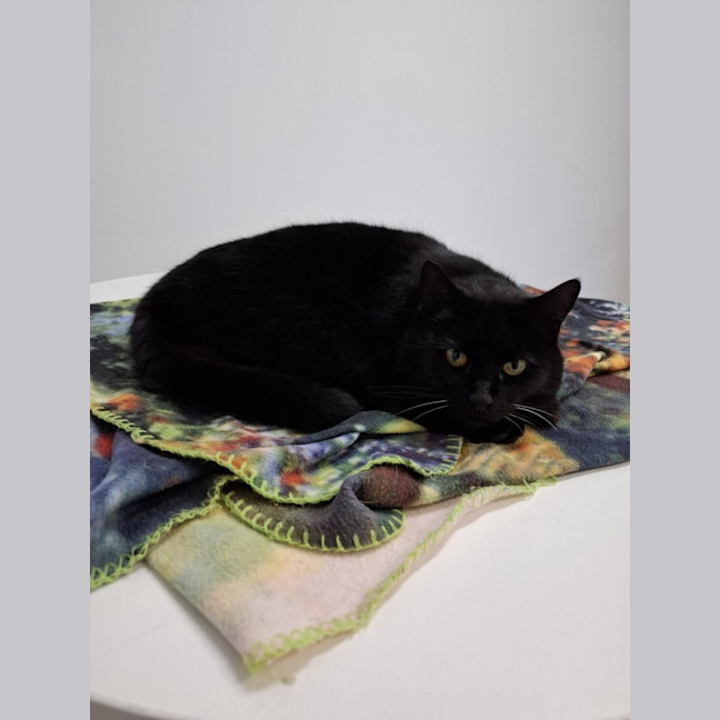 Photo of Mr Pickles