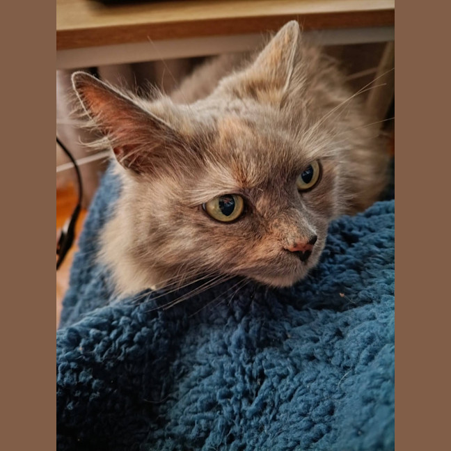 Photo of Matilda 
