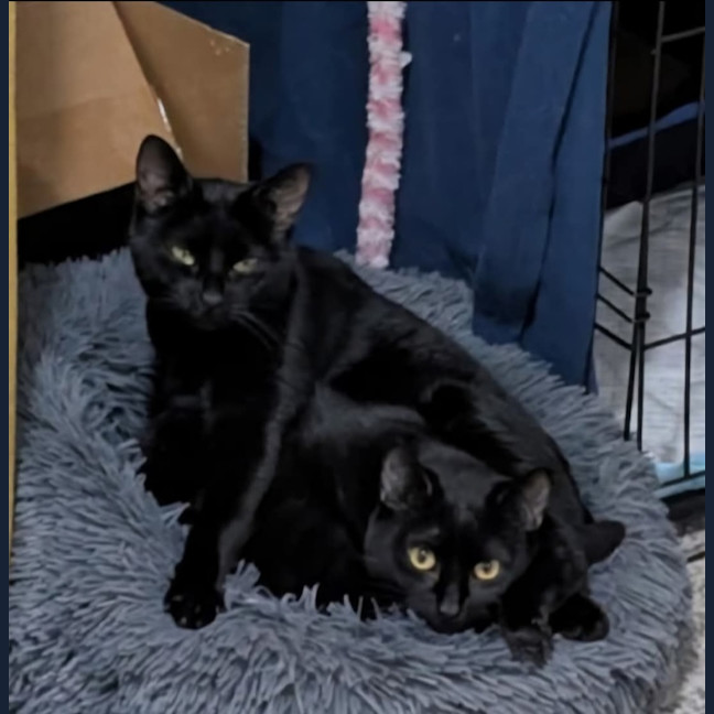 Photo of Fairy Bread