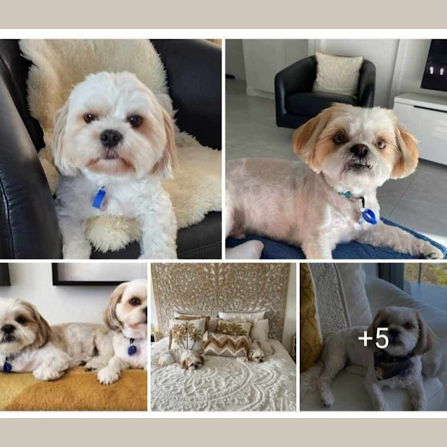 Photo of Peppa And Bucky 