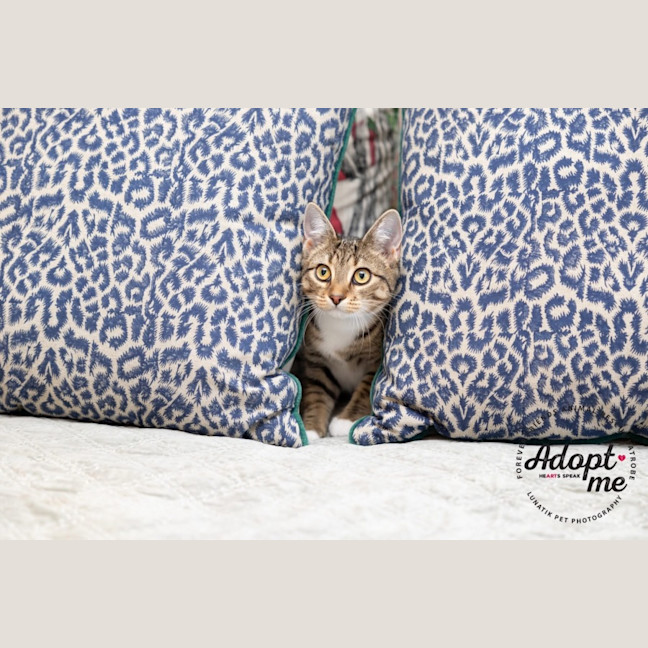 Photo of Eleanor 🌼