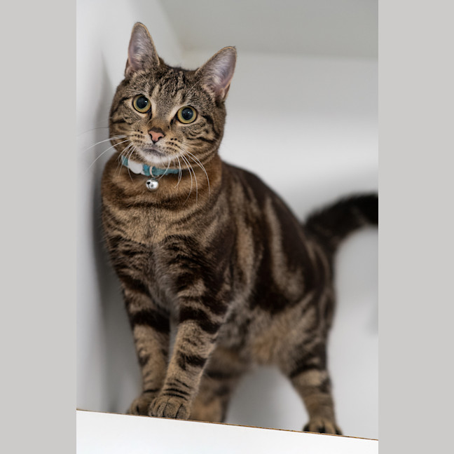 Photo of Winnie