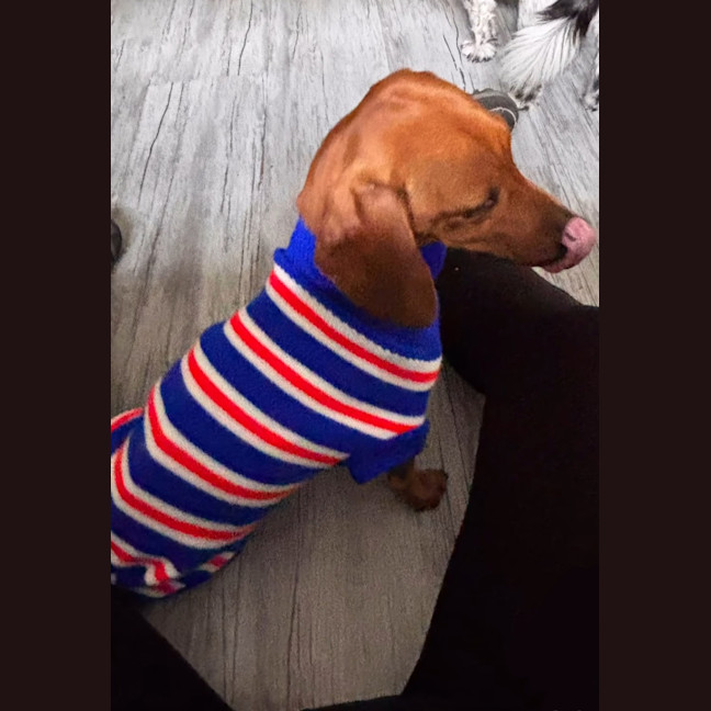 Photo of Evie And Ella