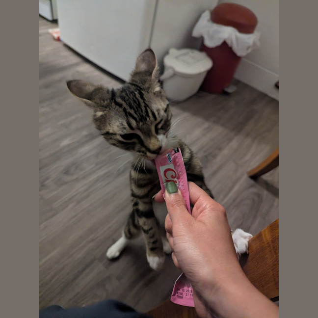 Photo of Bean