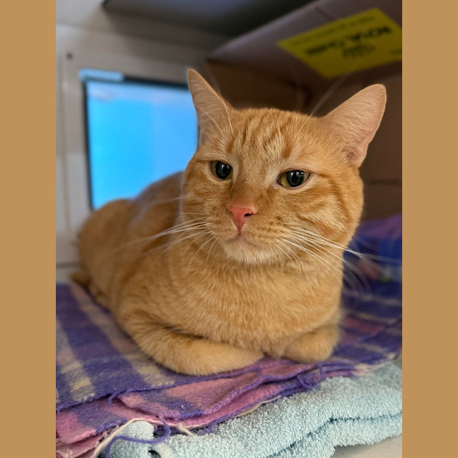 Photo of Tom