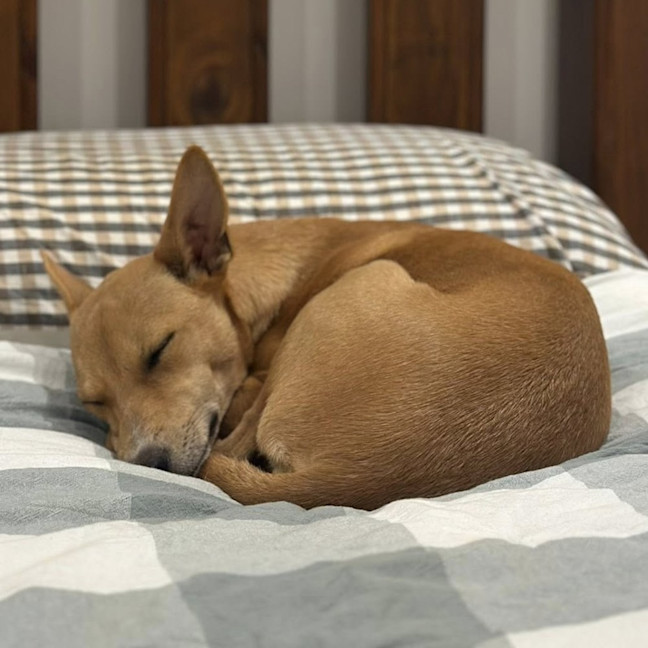 Photo of Lexi