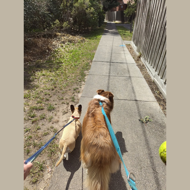 Photo of Mars Bar Slice