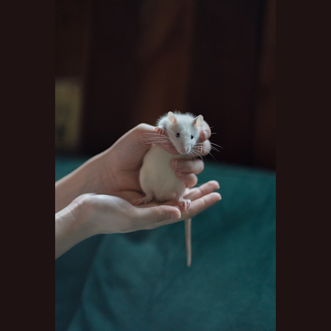 Photo of Toad & Beetle