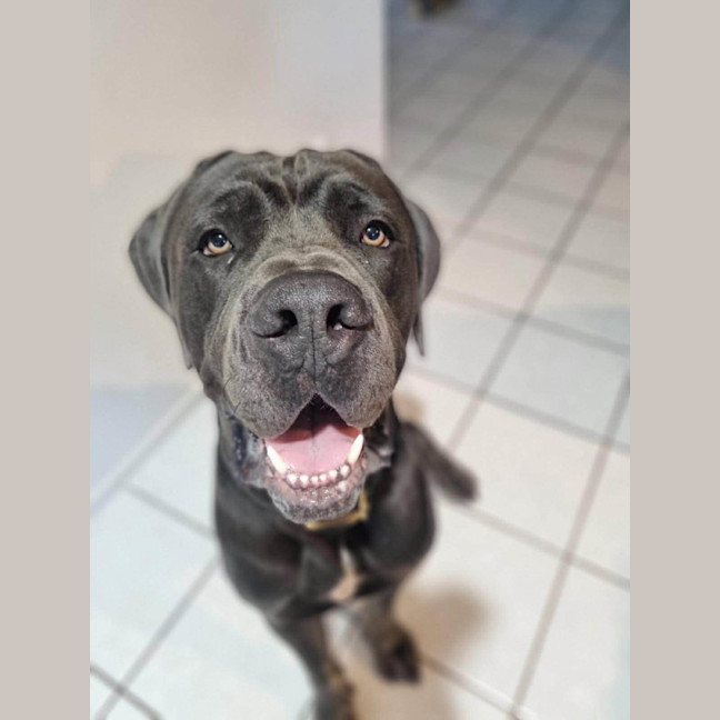 Photo of Clifford