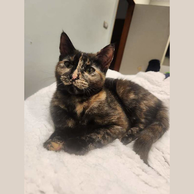 Photo of Maeve