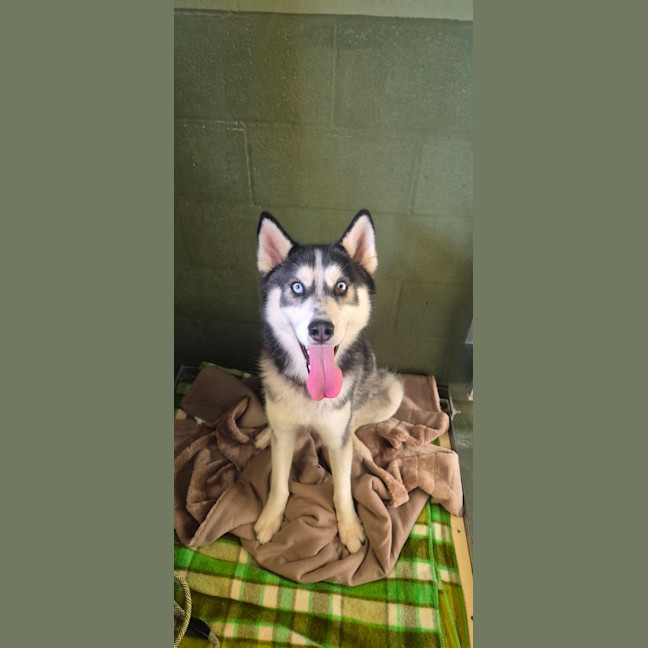 Photo of River (64805