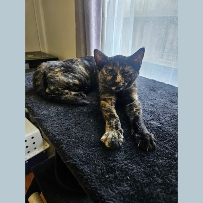 Photo of Jane (Now Maggie)