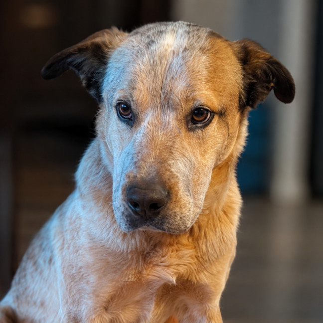 Photo of Fletcher