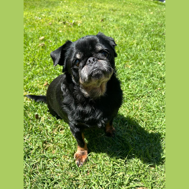 Photo of Maggie And Mr Wiggles