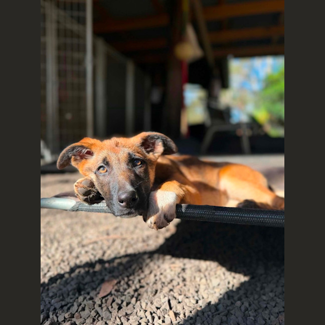 Photo of Hattie