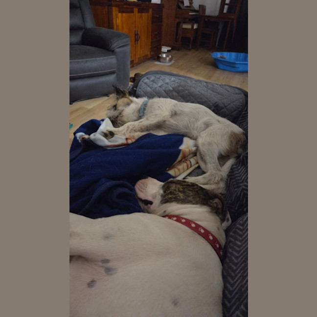 Photo of Vaga 