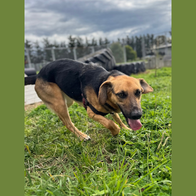 Photo of Cleo