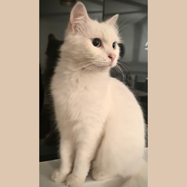 Photo of Max